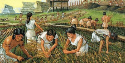 neolitik-donem-kadin-ciftcilerin-kollari-modern-kurekci-kadinlarinkinden-daha-gucluydu